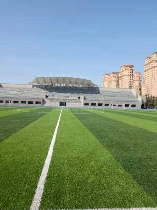 蚂蚁体育官方网站图片