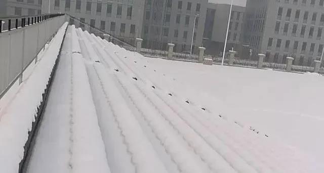 蚂蚁体育官方网站图片
