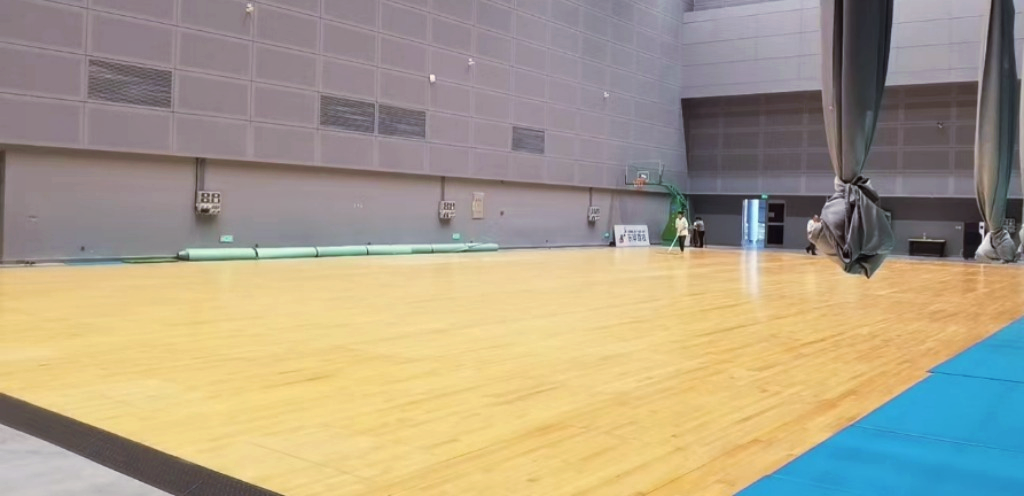 蚂蚁体育 d995e