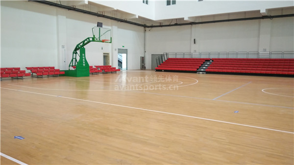 蚂蚁体育官方网站图片